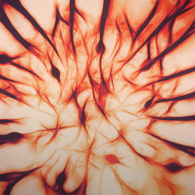 Bloom cover art