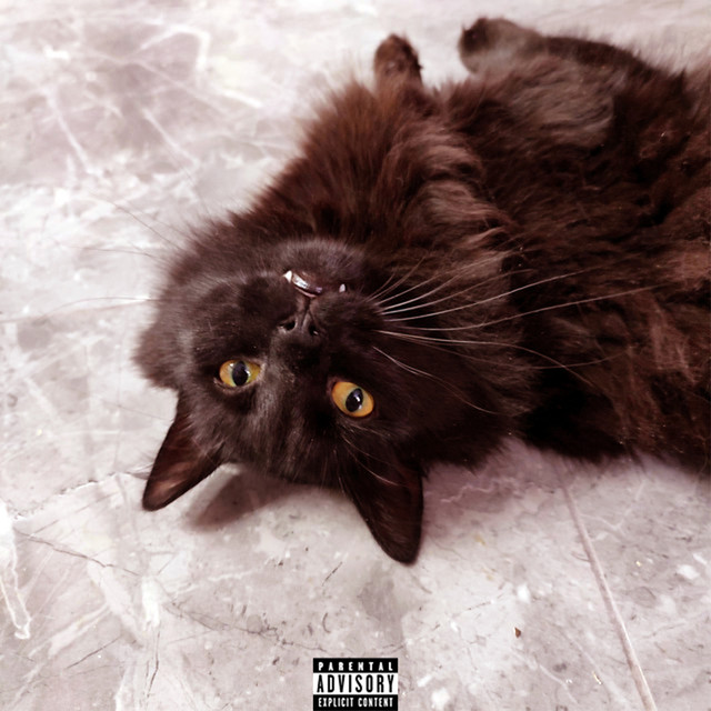 Rain cover art