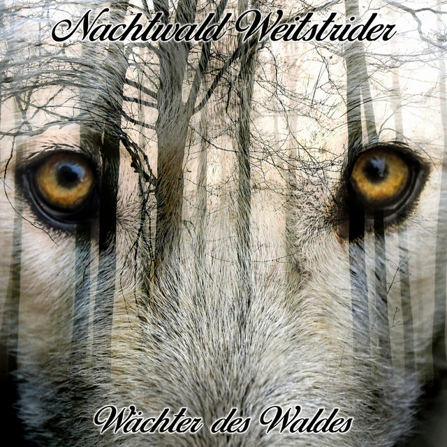 Nachtwald Weitstrider