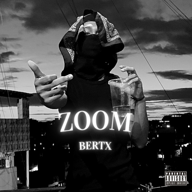 Zoom cover art