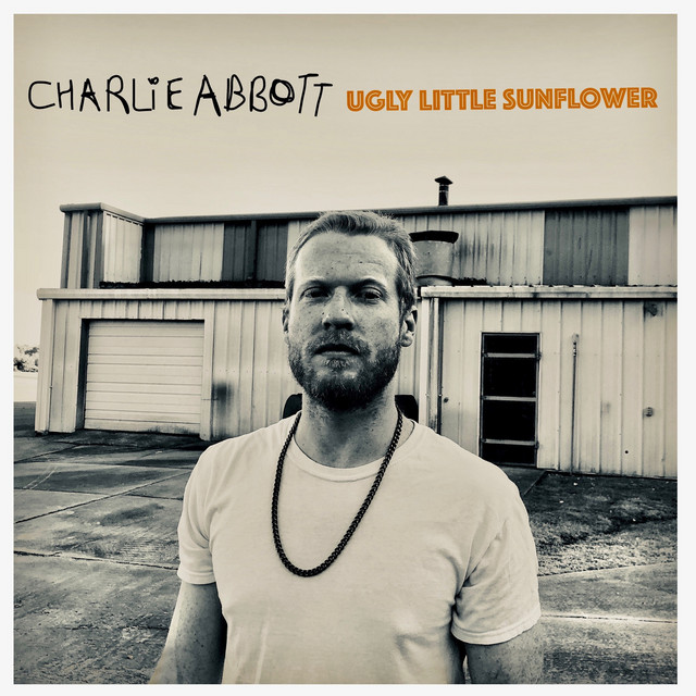 Ugly Little Sunflower cover
