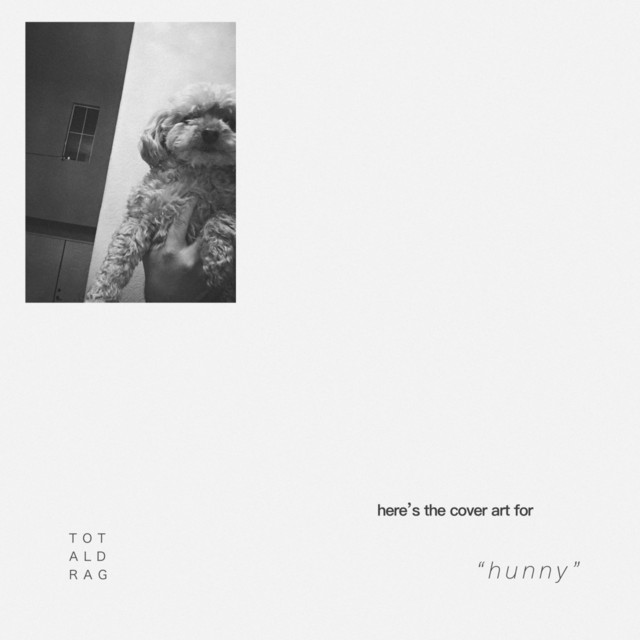 Hunny cover art