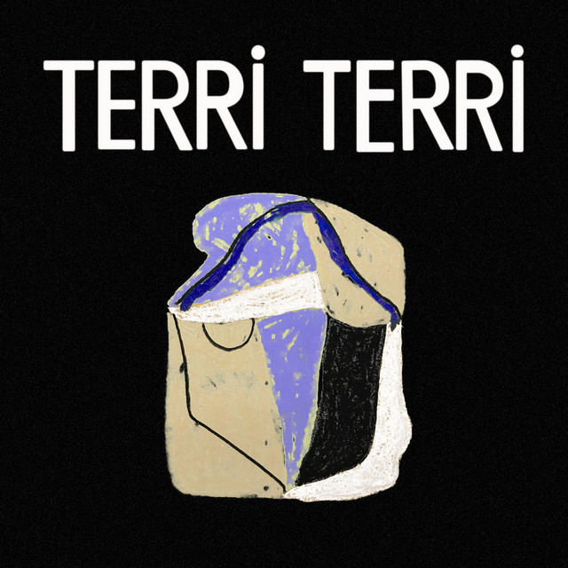 Terri Terri cover art