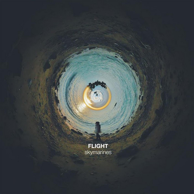 Flight cover art