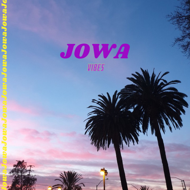 Vibes cover art
