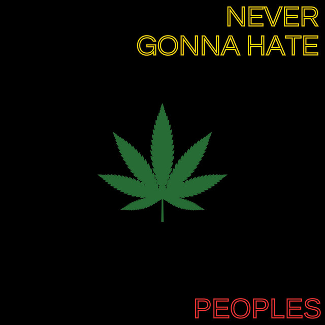 Never gonna Hate