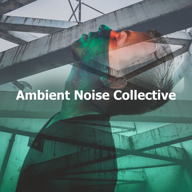 Ambient Noise Collective cover art