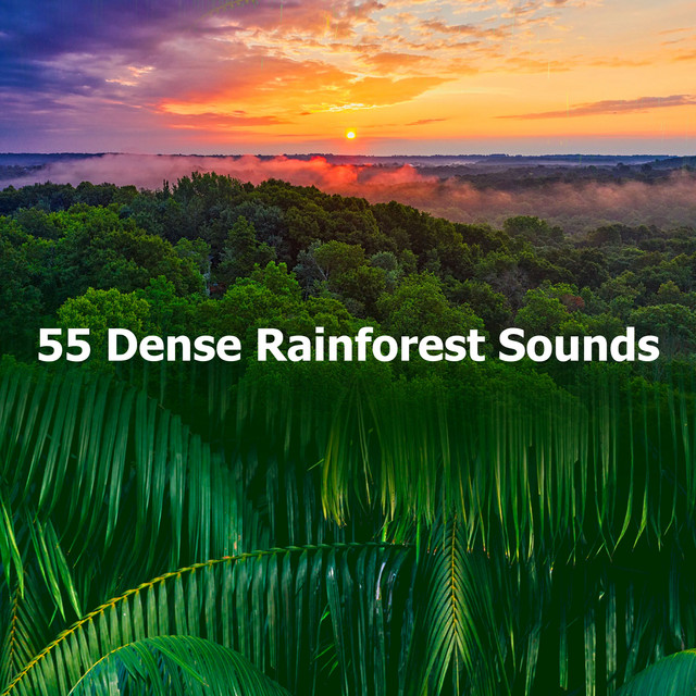 55 Dense Rainforest Sounds - Album by Calming Rainforest Sounds | Spotify