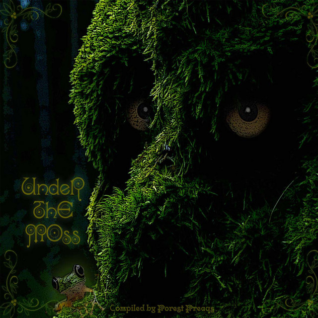 Under the Moss cover