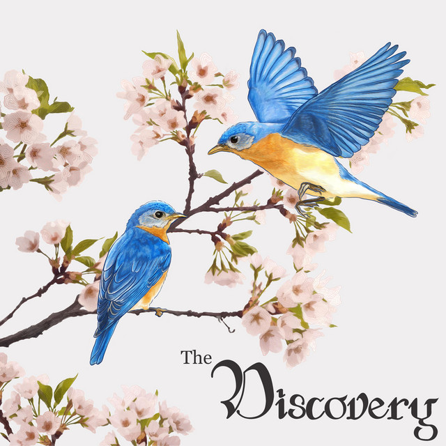 The Discovery cover art