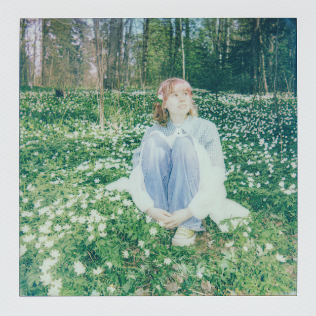 Valmis cover art