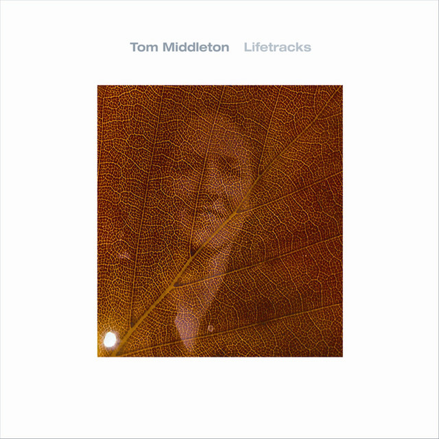 Lifetracks cover art
