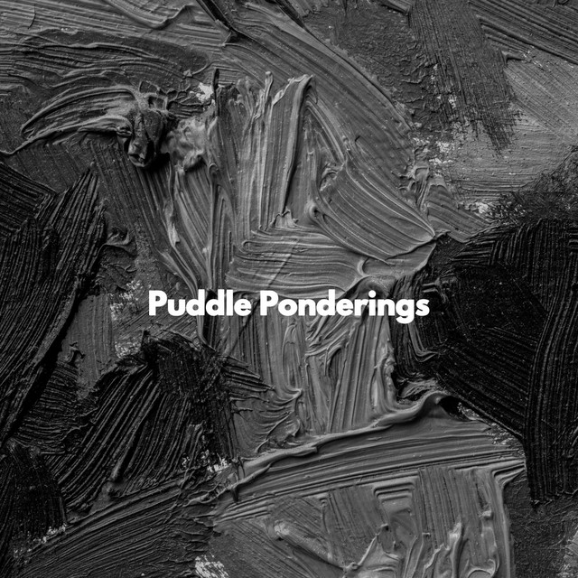 Puddle Ponderings cover art