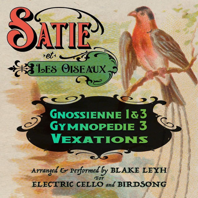 Satie Et Les Oiseaux cover