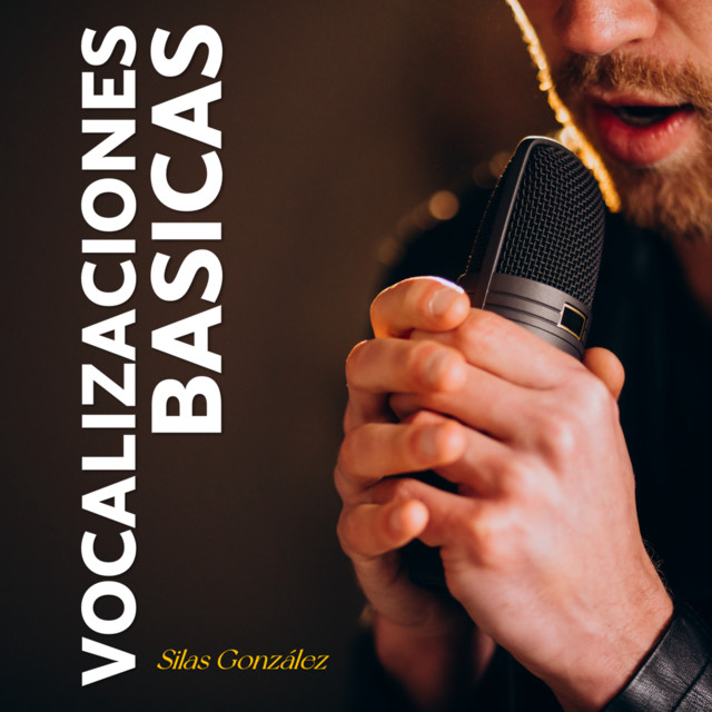 VOCALIZACIONES BASICAS cover art