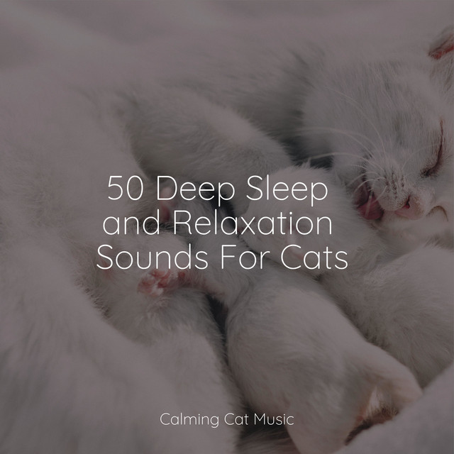 50 Deep Sleep and Relaxation Sounds For Cats - Album by Music for ...