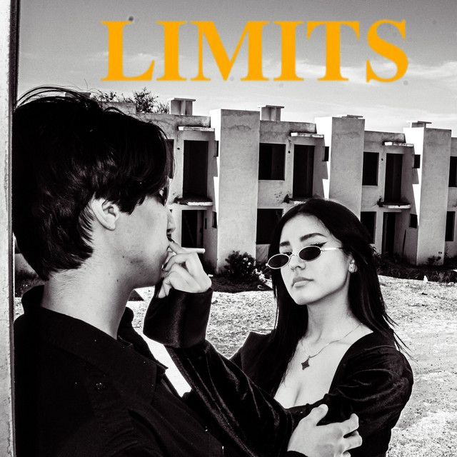 LIMITS cover art
