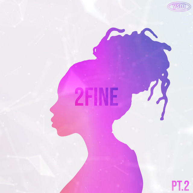 Y.S.M cover art
