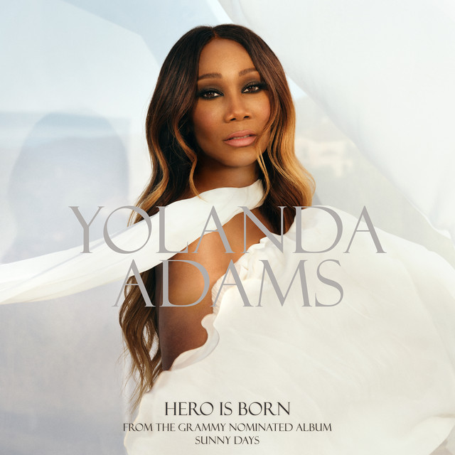 Hero is Born album image