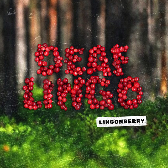Lingonberry cover art