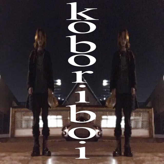 Ko Bori Boi cover art