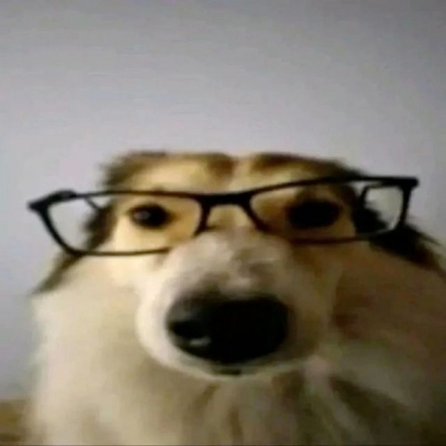 I'M A DOG! cover art
