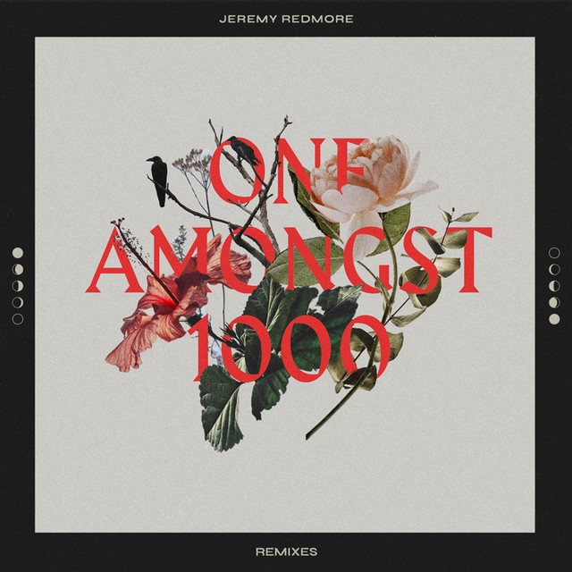 One Amongst 1000 (Remixes) cover