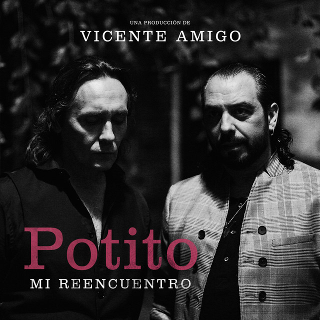 Potito, Mi Reencuentro cover art