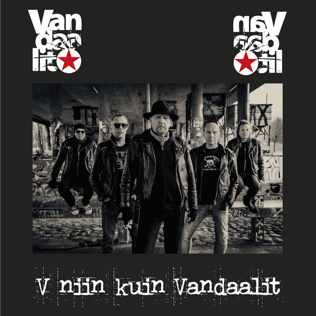 V niin kuin Vandaalit cover