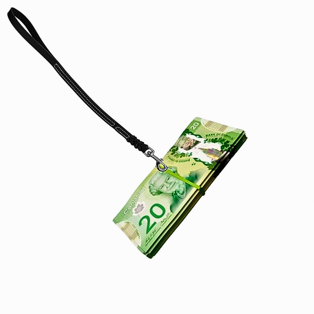 money leash (slowed version)