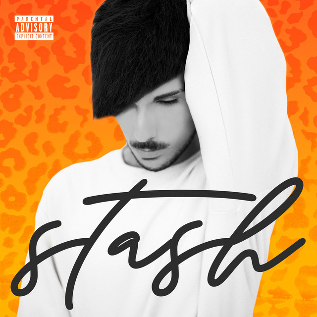 Stash cover art