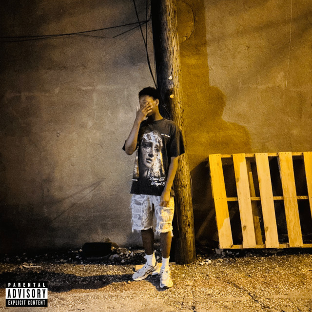 Pureifyde