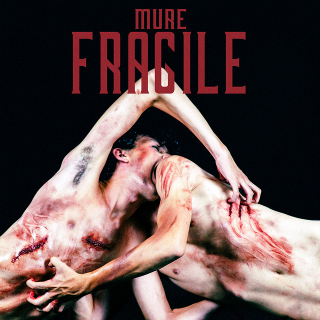 LUCE cover art
