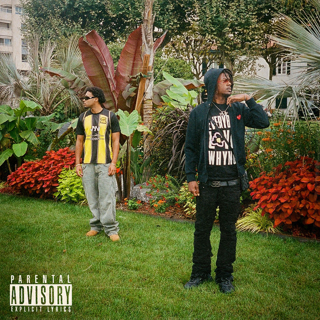 undefined album image
