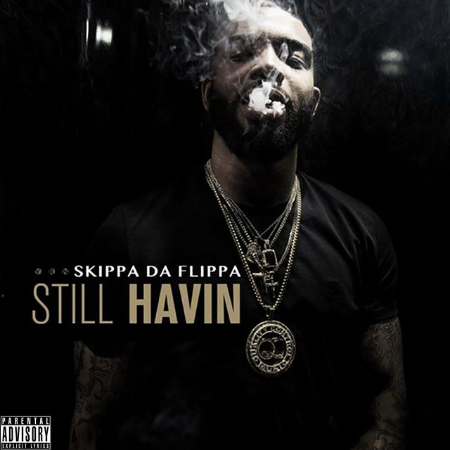 Still Havin cover art