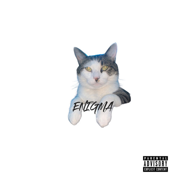 Enigma cover art