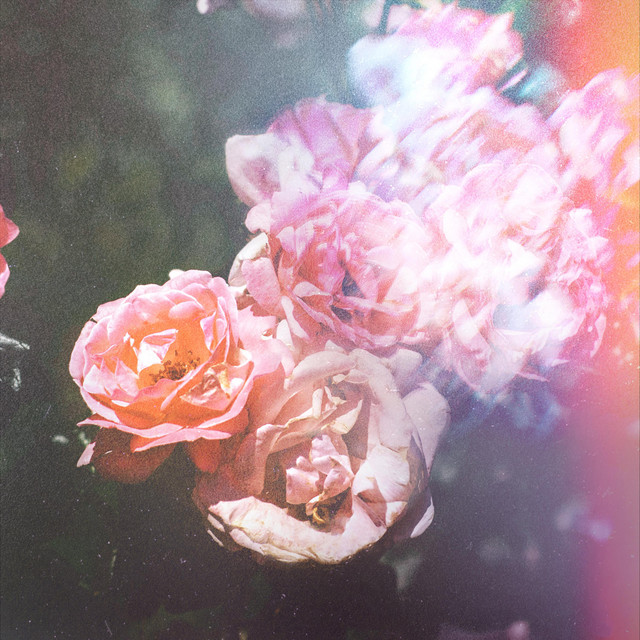 4pm cover art