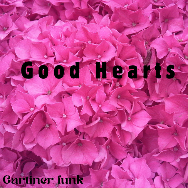 Gartiner funk