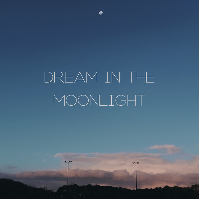 Dream in the Moonlight – Musical Regeneration During Sleep, Night Sounds, Relax Time, Stop Snoring, Stress Free, Bedtime, Evening Routine, Close Your Eyes cover art