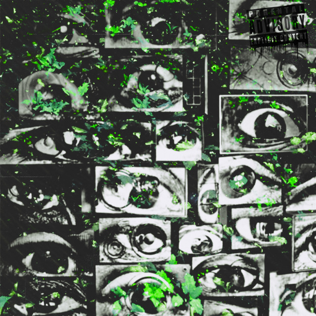Sulphur cover art