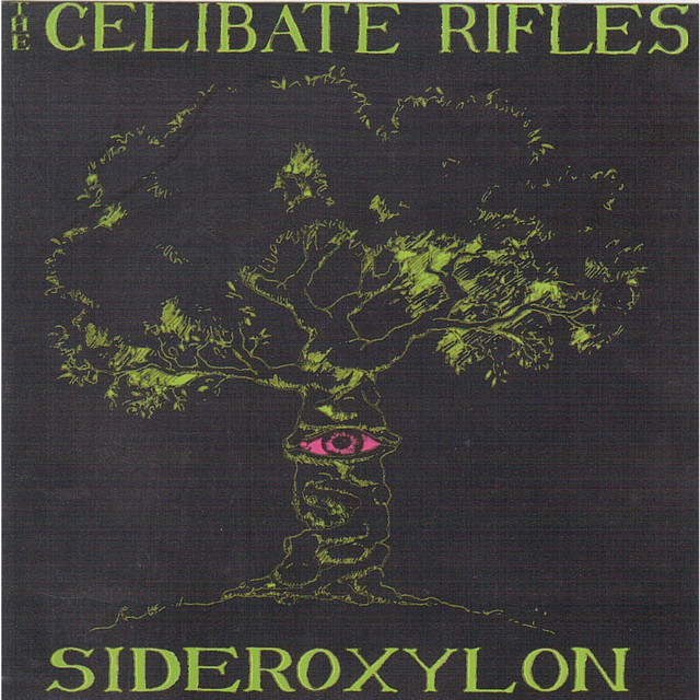 Sideroxylon cover