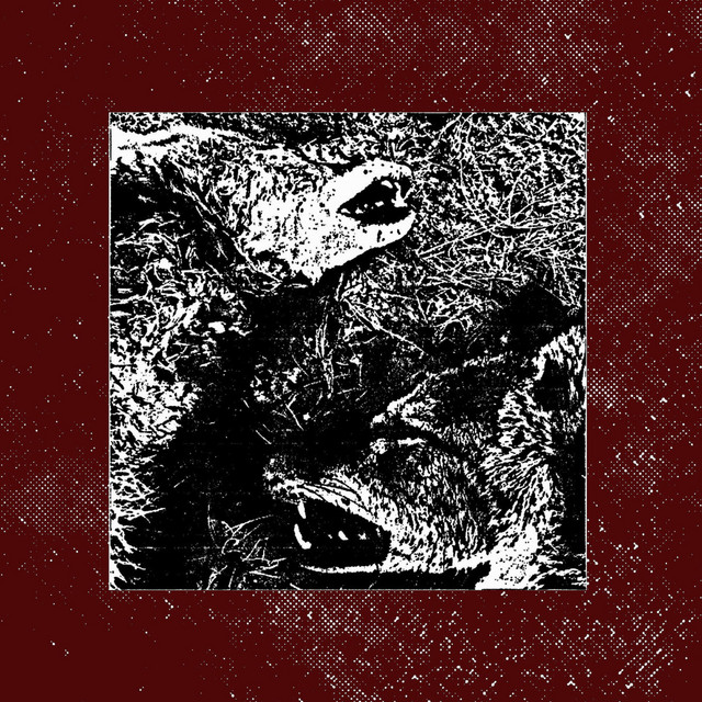 New Leash On Life cover art