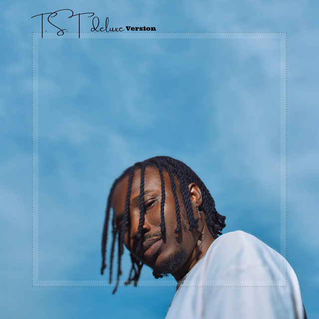 T.S.T (Deluxe Version) cover art