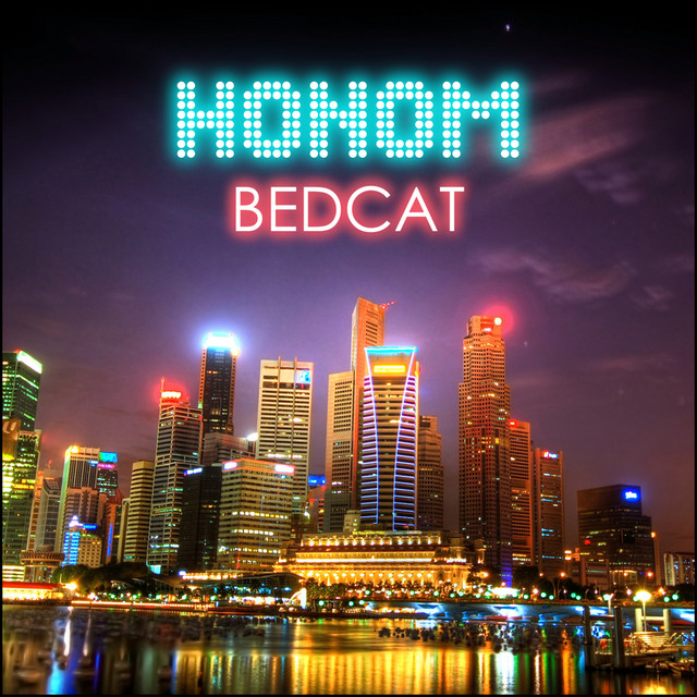 Bedcat cover art