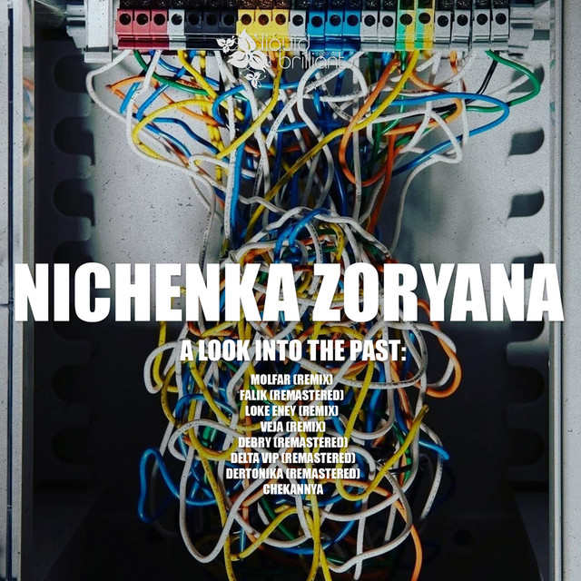 Обкладинка Nichenka Zoryana — A look into the past
