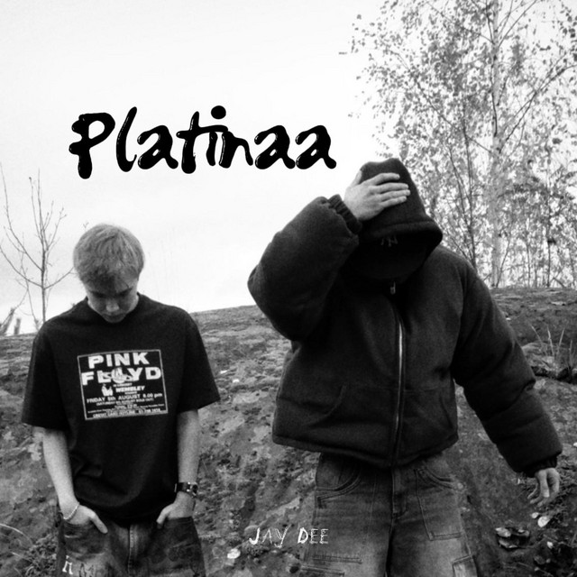 Platinaa