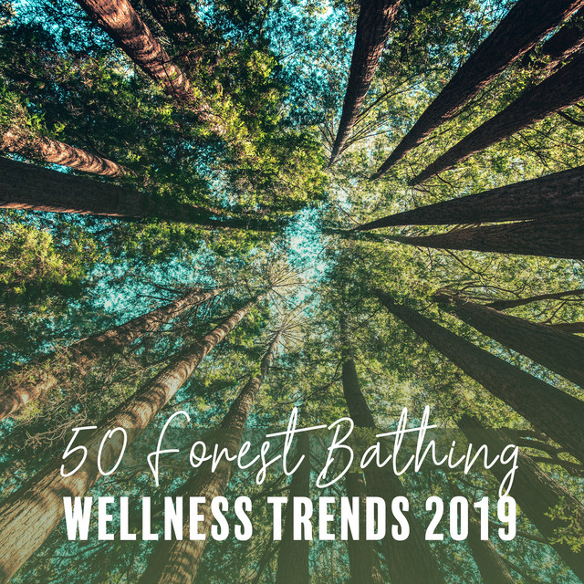 50 Forest Bathing: Wellness Trends 2019: Tranquil of Sense, Amazing Peace, Bath, Daily Relaxation, Full Body Massage, Stress and Pain Relief, Healing Nature