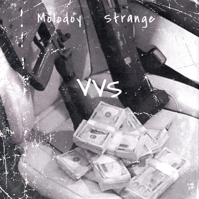 Vvs cover art
