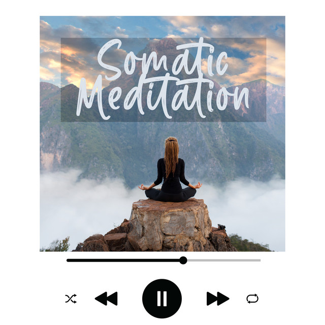 Somatic Mental Stillness cover art