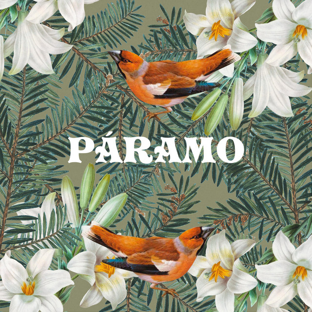 Páramo cover art